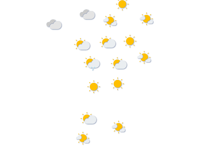 Forecast