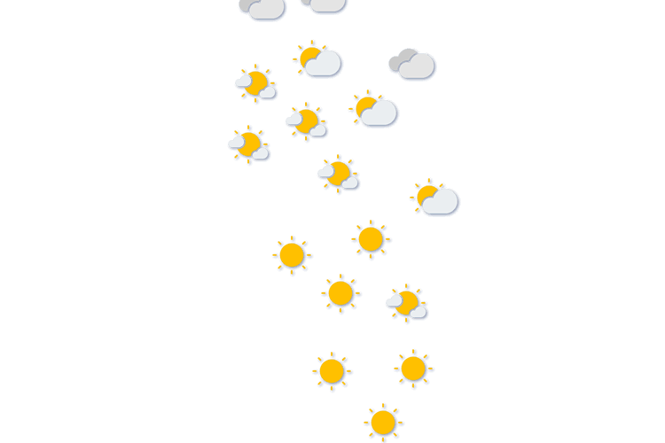 Forecast