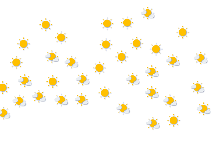 Forecast