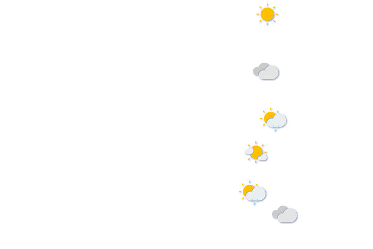 Forecast