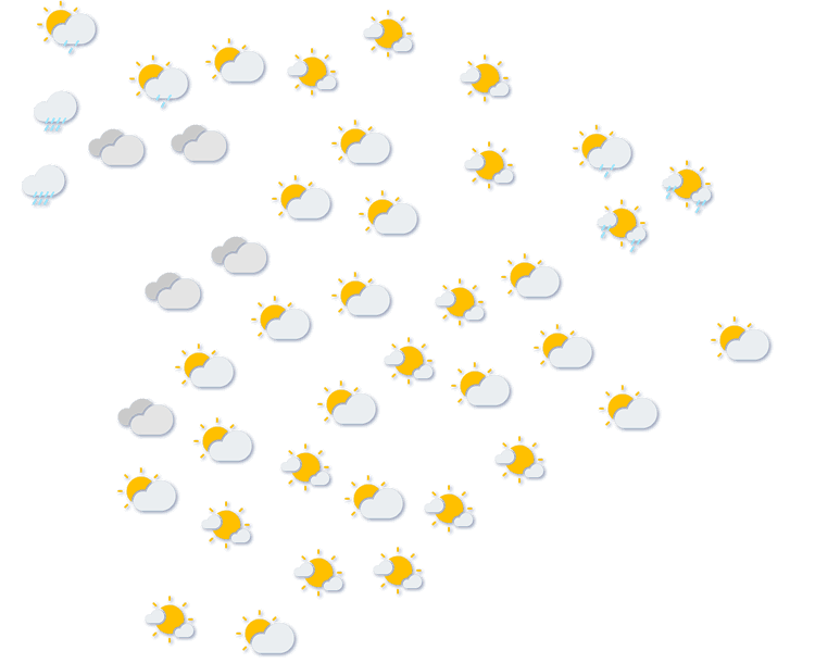 Forecast