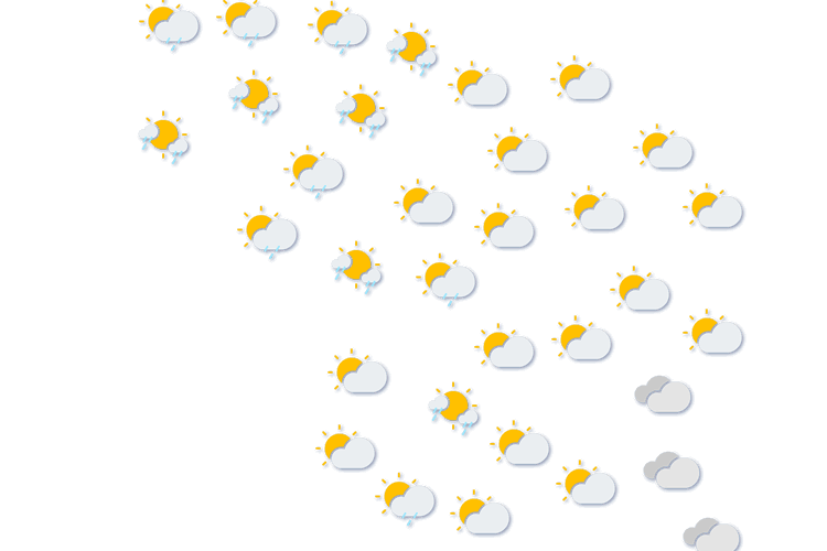 Forecast