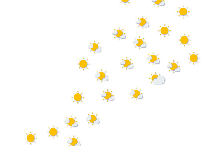 Forecast