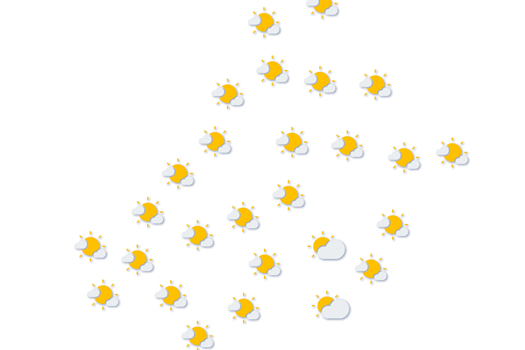 Forecast