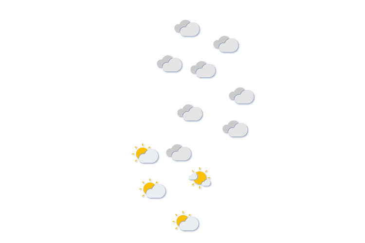 Forecast