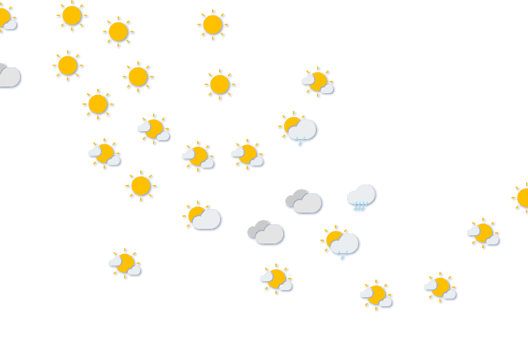 Forecast