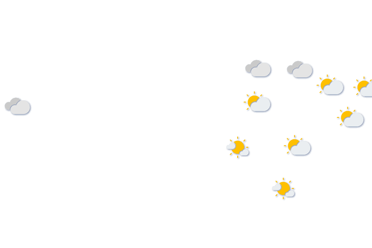 Forecast