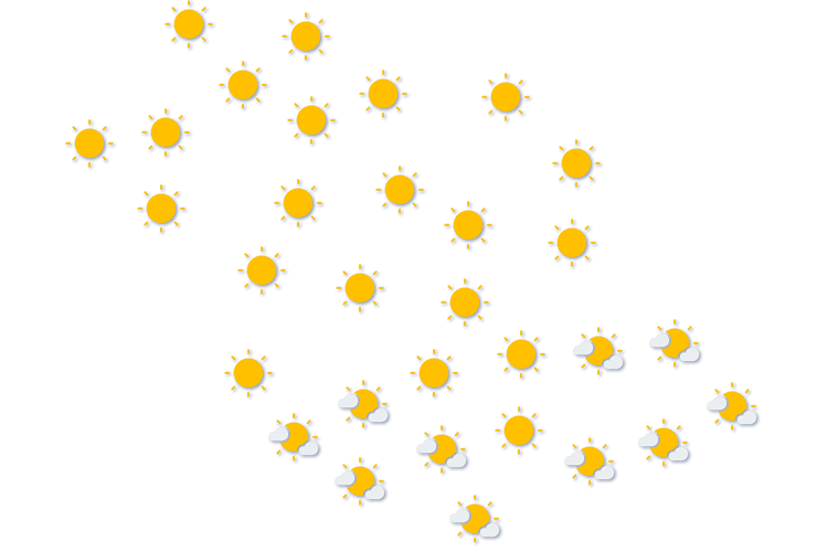 Forecast