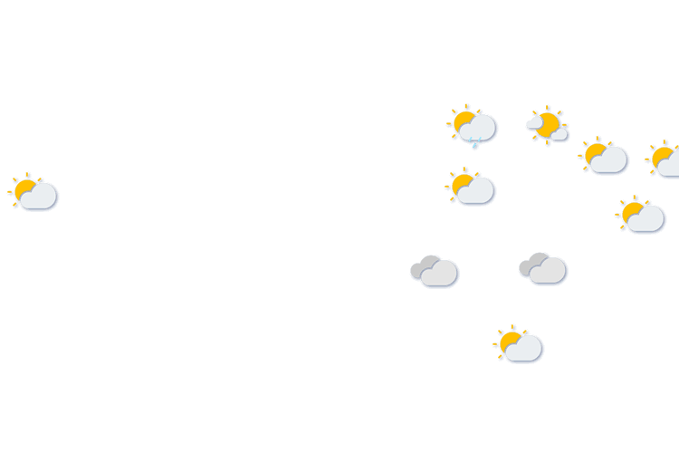 Forecast