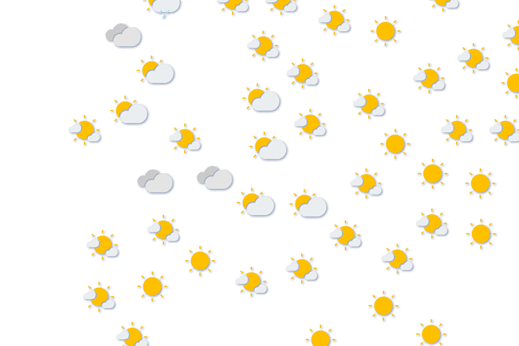 Forecast