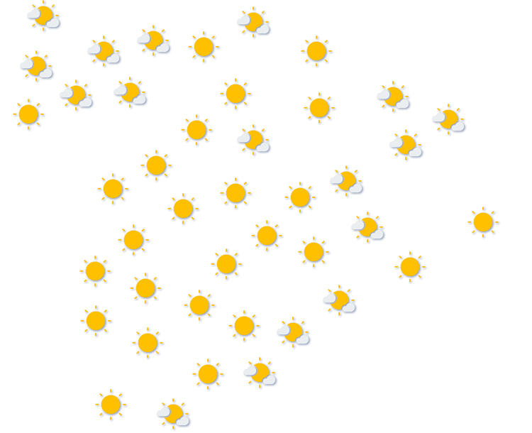 Forecast