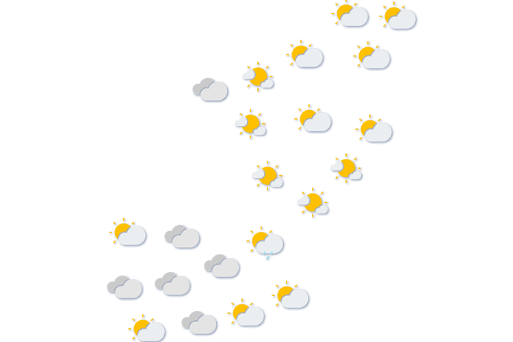 Forecast