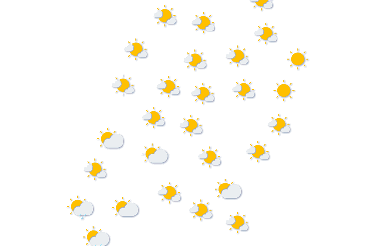 Forecast