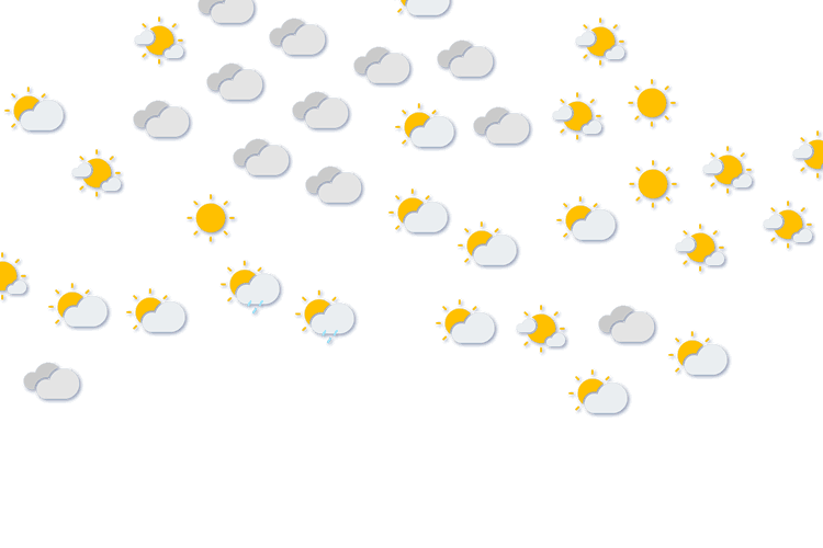 Forecast