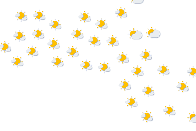 Forecast