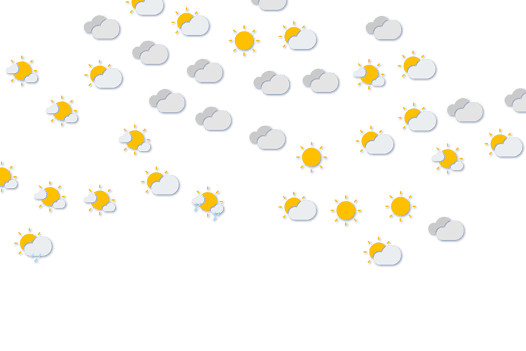 Forecast