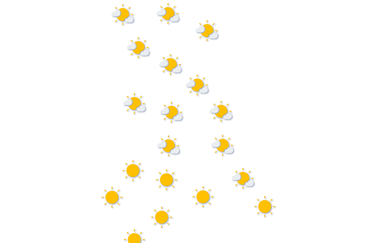 Forecast