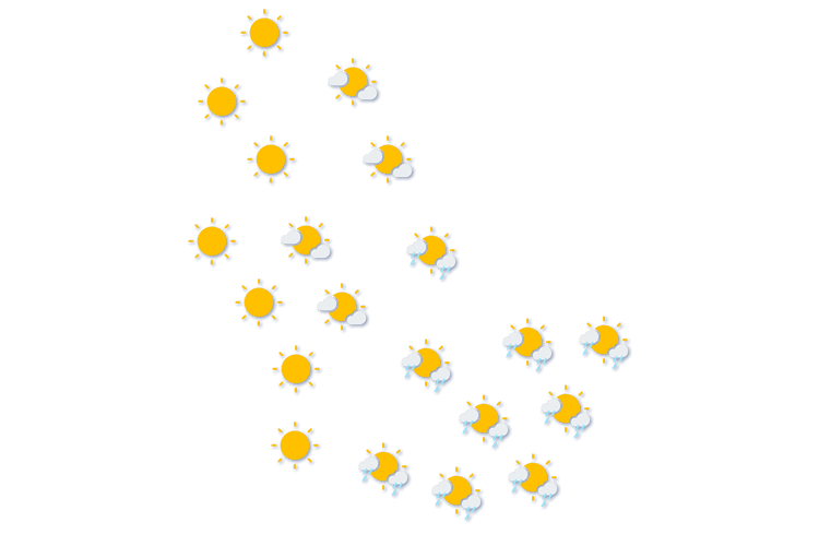 Forecast