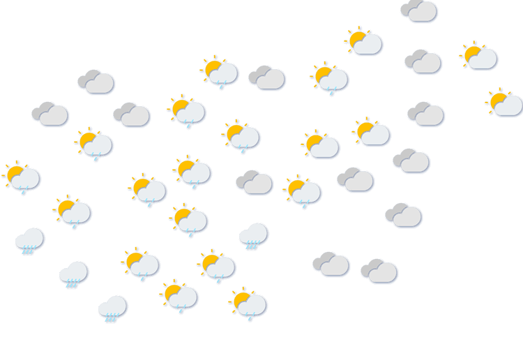 Forecast