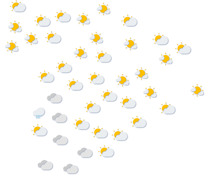 Forecast