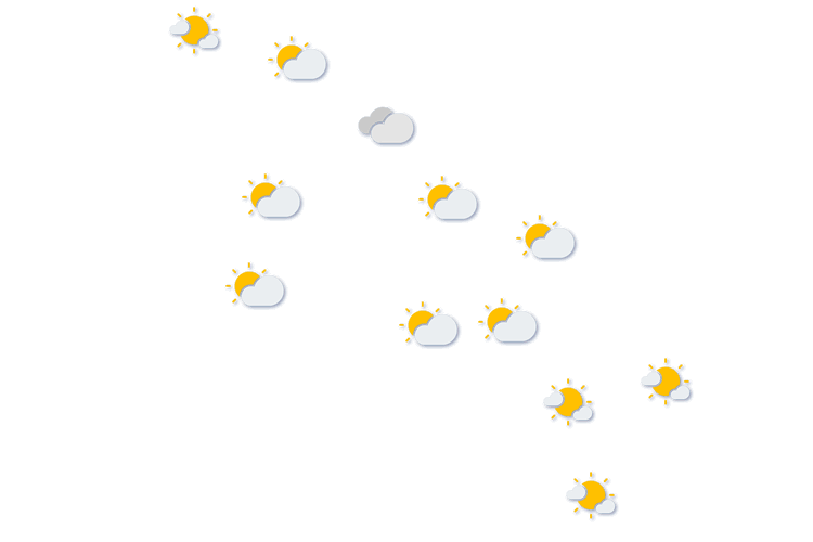 Forecast