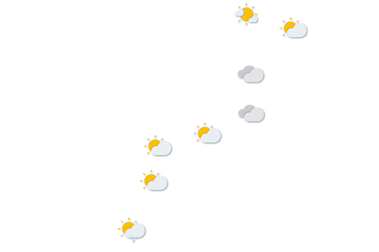 Forecast