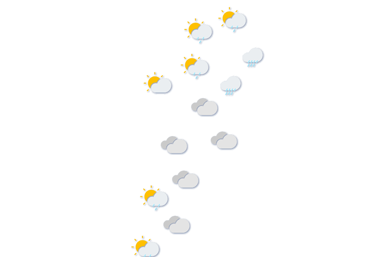 Forecast