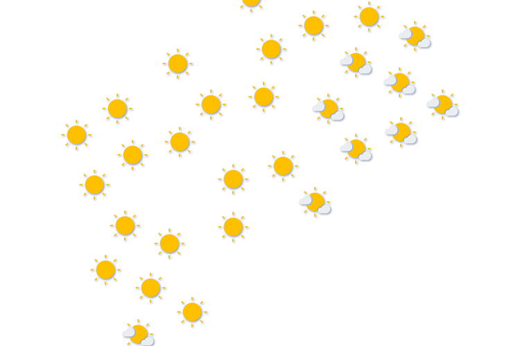 Forecast
