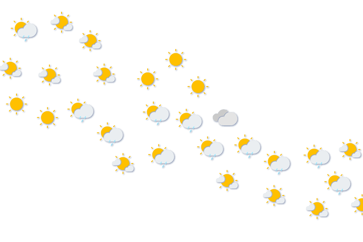 Forecast