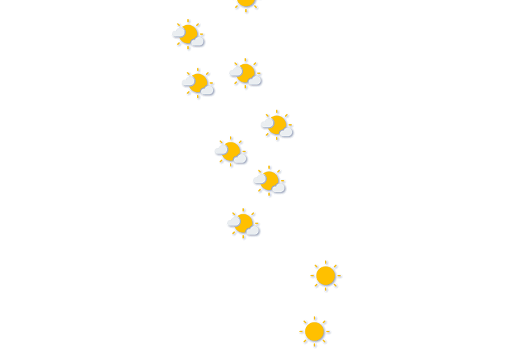 Forecast