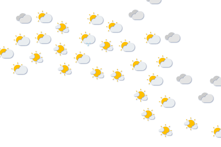 Forecast