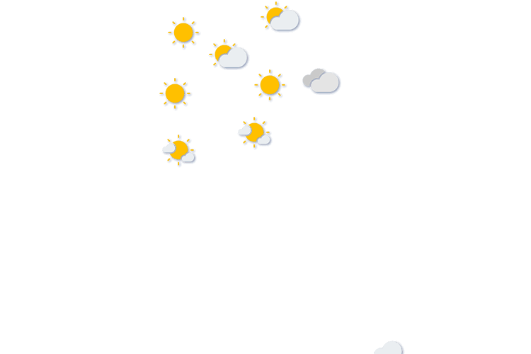 Forecast