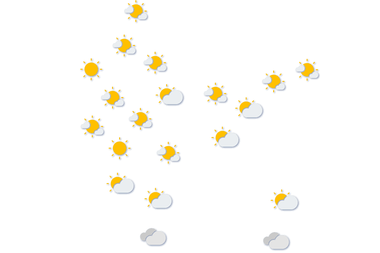 Forecast