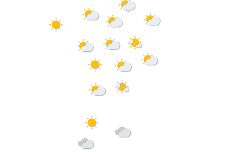 Forecast