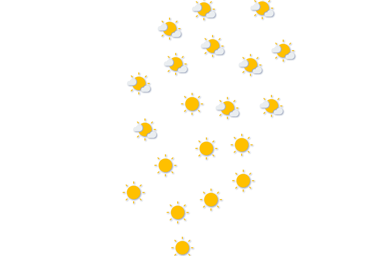 Forecast