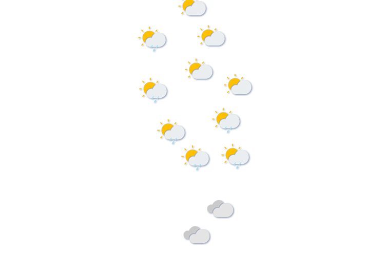 Forecast