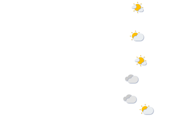 Forecast