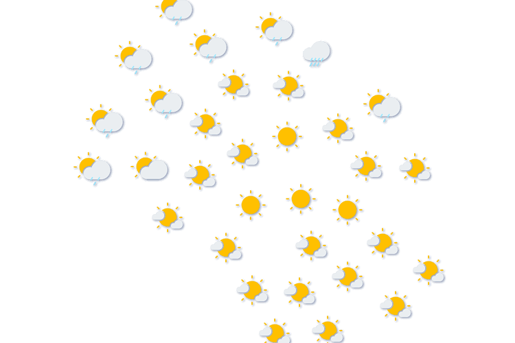 Forecast
