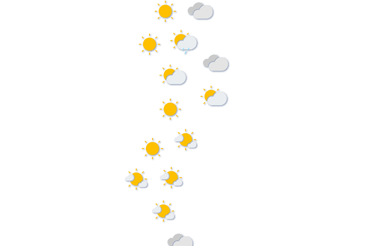 Forecast