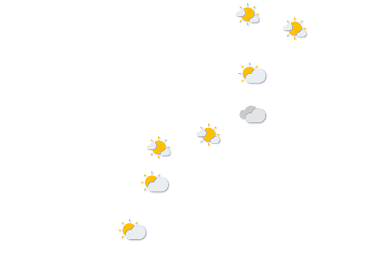 Forecast