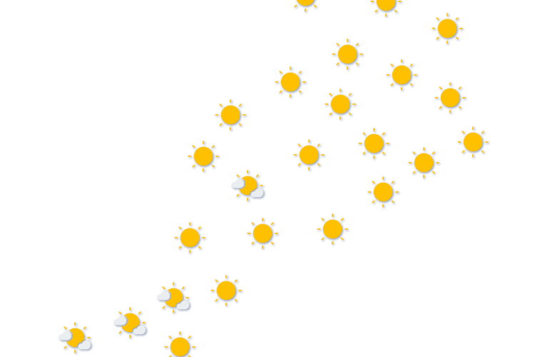 Forecast