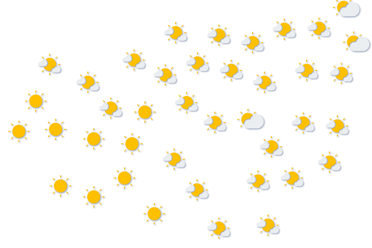 Forecast