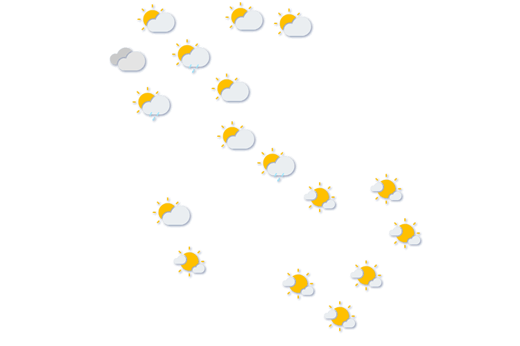 Forecast