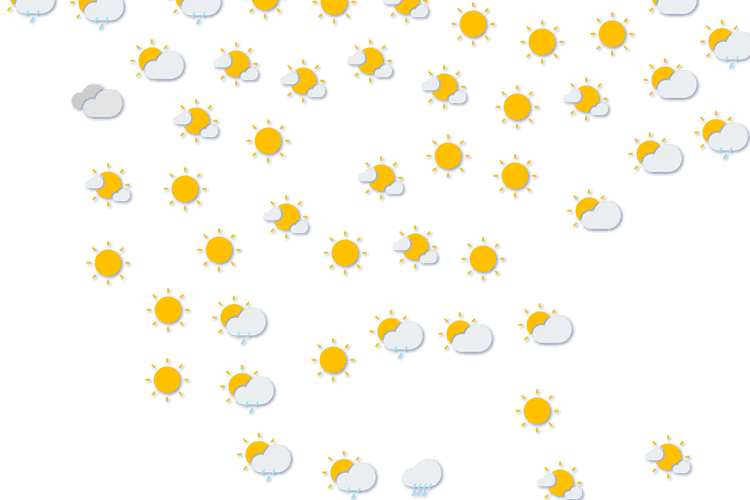 Forecast