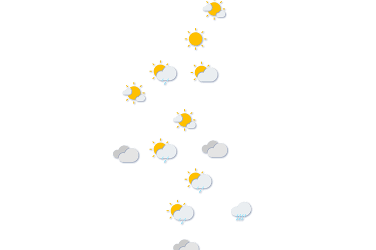 Forecast