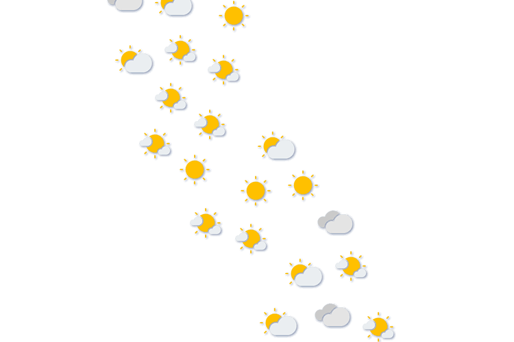 Forecast