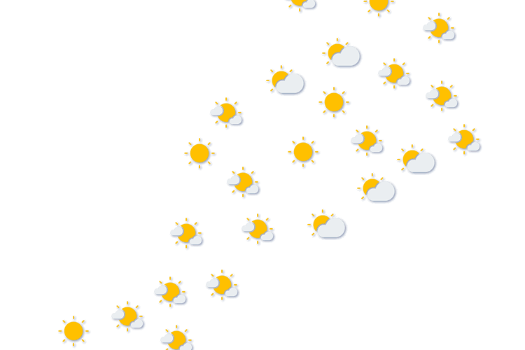 Forecast