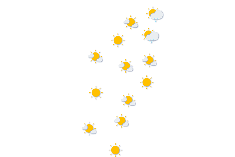 Forecast
