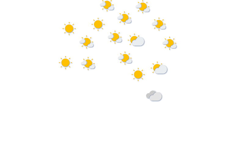 Forecast