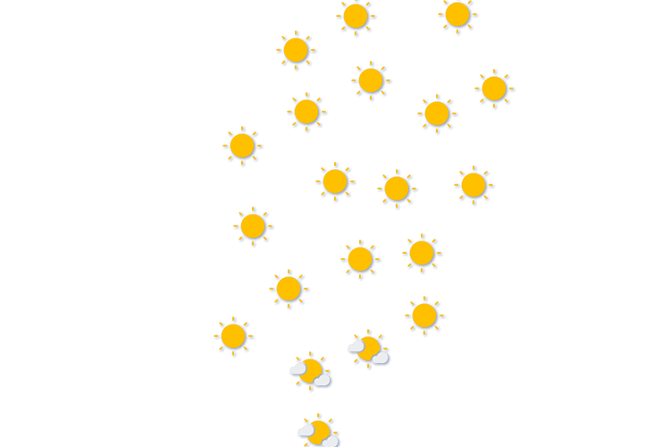 Forecast
